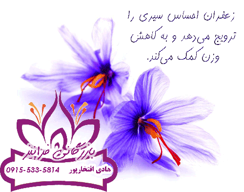 بهترین عصاره زعفران مایع سراج در شیراز