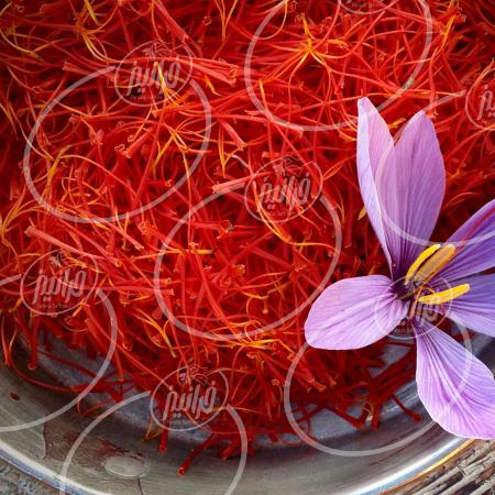 صادرات افشانه زعفران به کشور‌ های همسایه