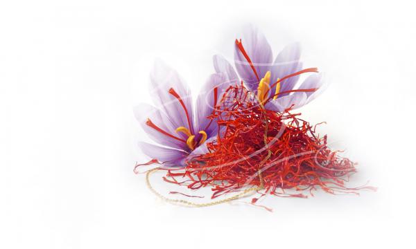 پخش کننده زعفران زرافشان در بازار جهانی